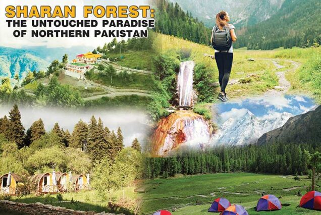 02 DAYS SHARAN FOREST TOUR